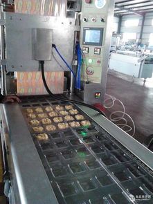 貝爾自動化設備最新動態與項目資訊